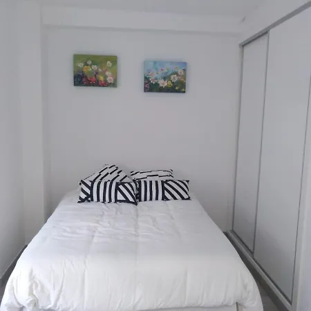 Estudio En Zona Centro Apartment